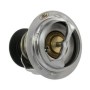 RT-1253  Motorcraft®